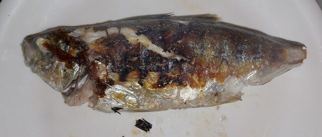 画像：焼きアジー完成表面